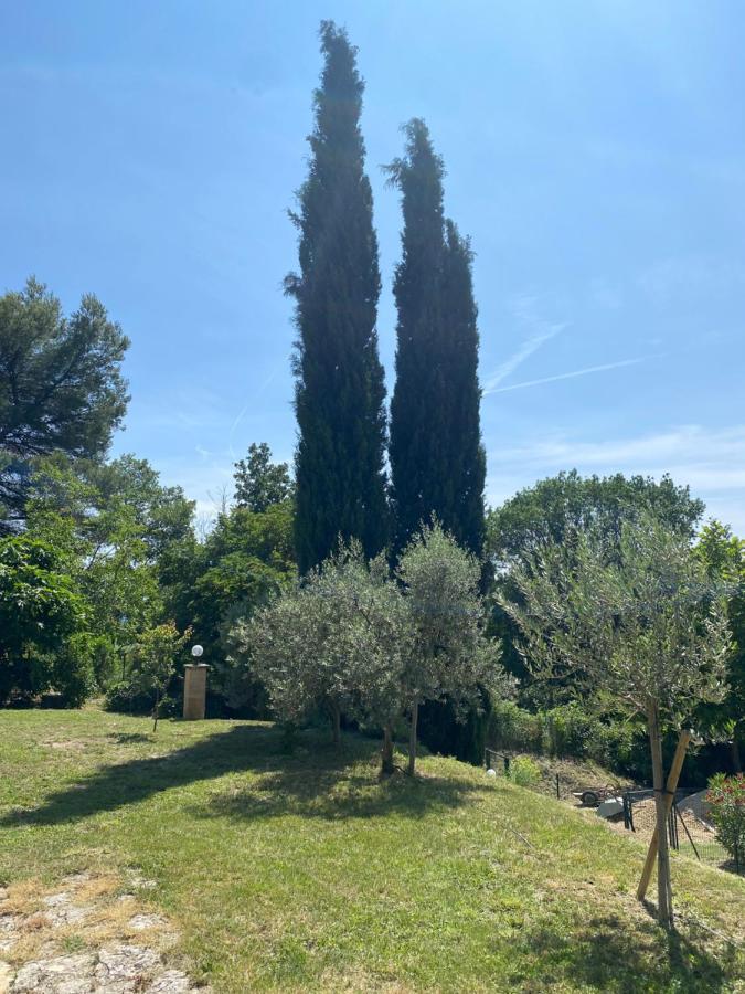 Les Oliviers Βίλα Vaugines Εξωτερικό φωτογραφία